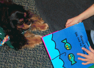 dogs