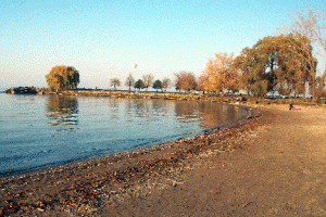 edgewaterpark