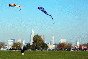 kites