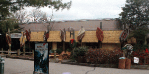 rhinocafe rhinocafe