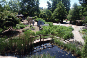 cbg_view