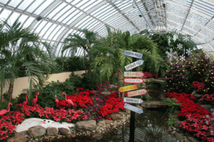 phi2